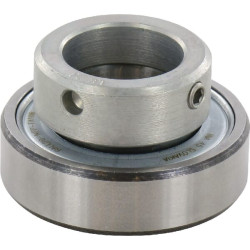 Guolio įdėklas 20x42x12mm INA/FAG RALE20NPPFA106