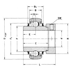 Guolio įdėklas 45x85x56,3 SKF XGGE45KTTB