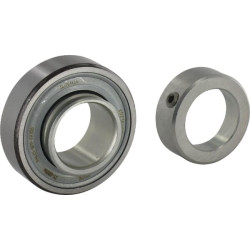 Guolio įdėklas 25x52x15mm INA/FAG RAE25NPP