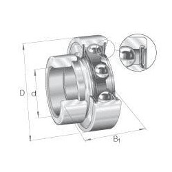 Guolio įdėklas 60x110x24mm INA/FAG RAE60NPP