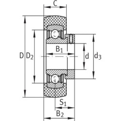 Guolio įdėklas 25x62,2x20,8mm INA/FAG RABRB2562FA106