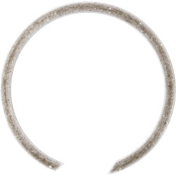 Vidinis fiksuojamasis žiedas 25x1,2 mm IDC ® BR25