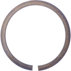 Užspaudžiamas žiedas, išorinis 47x1,2 mm, DIN5417, spyruoklinis plienas, INA/FAG SP47