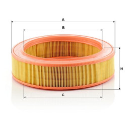 Oro filtro elementas C25552