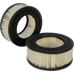 Pirminis oro filtras P606074