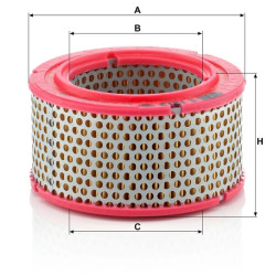 Oro filtro elementas C1213