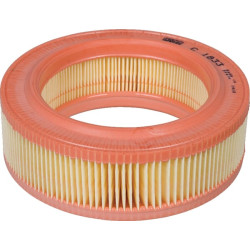 Oro filtro elementas C1833