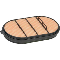 Oro filtro apsauga P601560