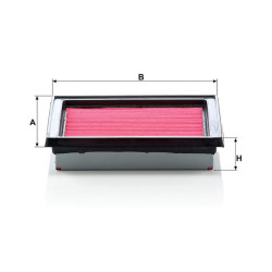 Oro filtro elementas C1618