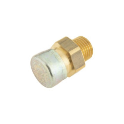 Alsuoklio filtras FS347