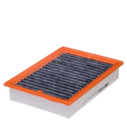 Salono filtras E5956LC