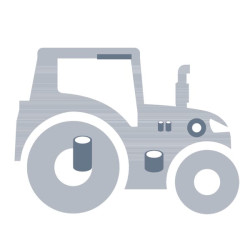 Anglies filtras 3909435M12