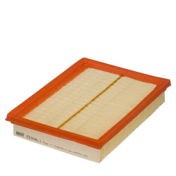 Salono filtras E5998LI