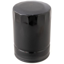 Alyvos filtras H17W09