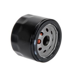 Variklio filtras VPD5161