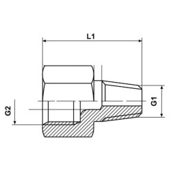Prailginimas 1/8" - 1/8" CLVRK18R1823