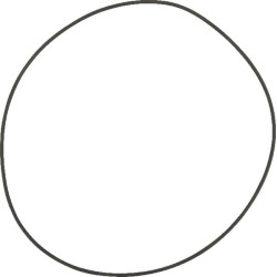 O formos žiedas X549033600000