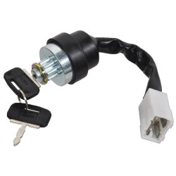 Uždegimo jungiklis 3699692M92