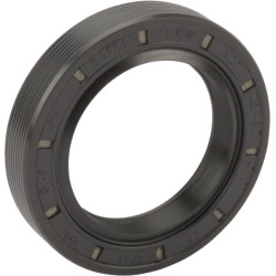 Sandariklis F184300020630