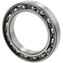 Rutuliniai guoliai (1 žiedas) CI028795