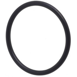 O formos žiedas 32,99x2,8 mm CI028144