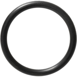 O formos žiedas CI028134