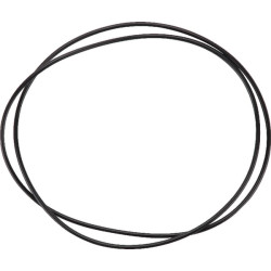 Stabdžių O žiedas 6005019079