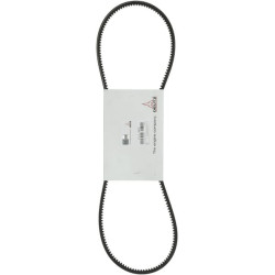 Siauras V formos diržas 01179673