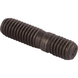 Smeigės varžtas 01148097