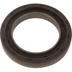 Sandariklis DZ111671