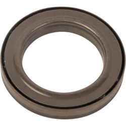 Sandariklis DZ111671