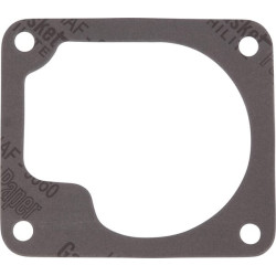 Vairo kolonėlės tarpinė R520611N