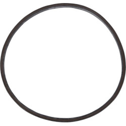 Sandariklis RE261595