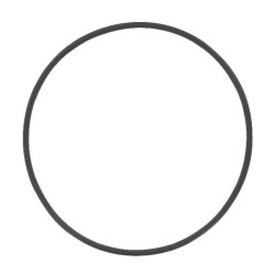 O formos žiedas LVU17893