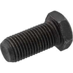 Reguliavimo varžtas 1853164M1KR