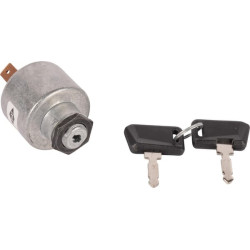 Uždegimo jungiklis 9975363