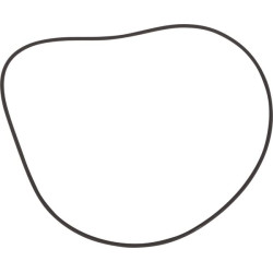 Skambinkite 7700047393