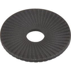 Pavasarinis vikingas 00007026600