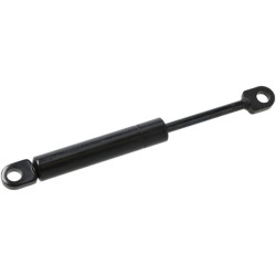 Amortizatorius P798048