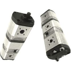 Krumpliaratinis siurblys AZPFFF-11-014/008/016LFP202020PB-S0195 Bosch Rexroth 0510565382