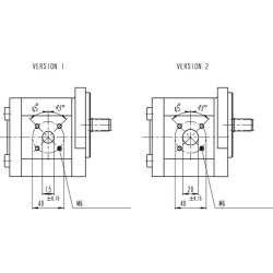 Hidraulinis siurblys AZPF-12-019-R 0510625029