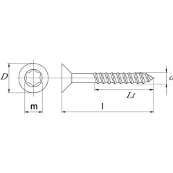 Medsraigtis 5x100mm TX25 įleidžiama galvute, nerūdijantis plienas Kramp SPT5100RVS
