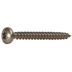 Medsraigtis 4x30mm TX20 su apvalia galvute A2 SPSTX430RVS