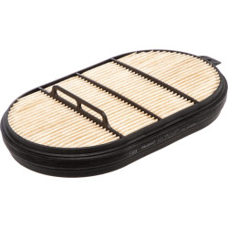 Massey Ferguson 8S.265 StageV, Dyna7 (LB203038-) SA16508 oro filtras