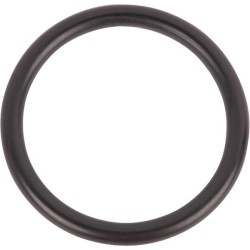 Case - IH 8910 129963N O žiedas