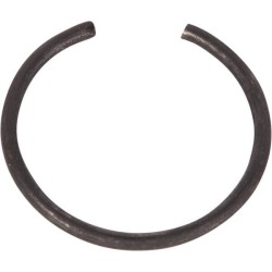 Case - IH 8930 070HR115 Užspaudžiamas žiedas