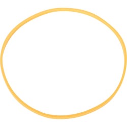 Case - IH 225 1286077C1 žiedas