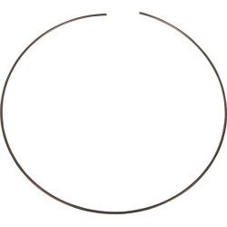 Case - IH 250 Magnum 4986355 žiedas