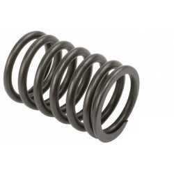 Massey Ferguson 765 1947-1965 VPA2000 vožtuvo spyruoklė