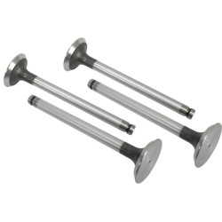 Massey Ferguson 274S VPA1110 Išmetimo vožtuvas